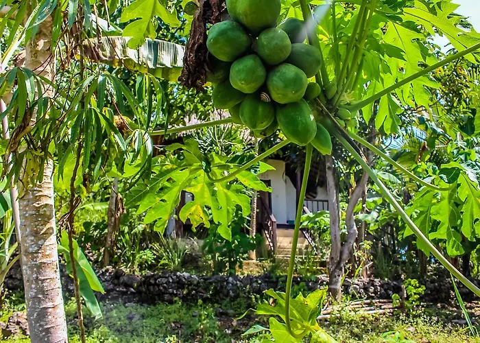 Echo Alam Nusa ホリデーパーク